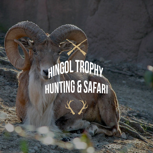  Hingol Trophy Hunting And Safari
